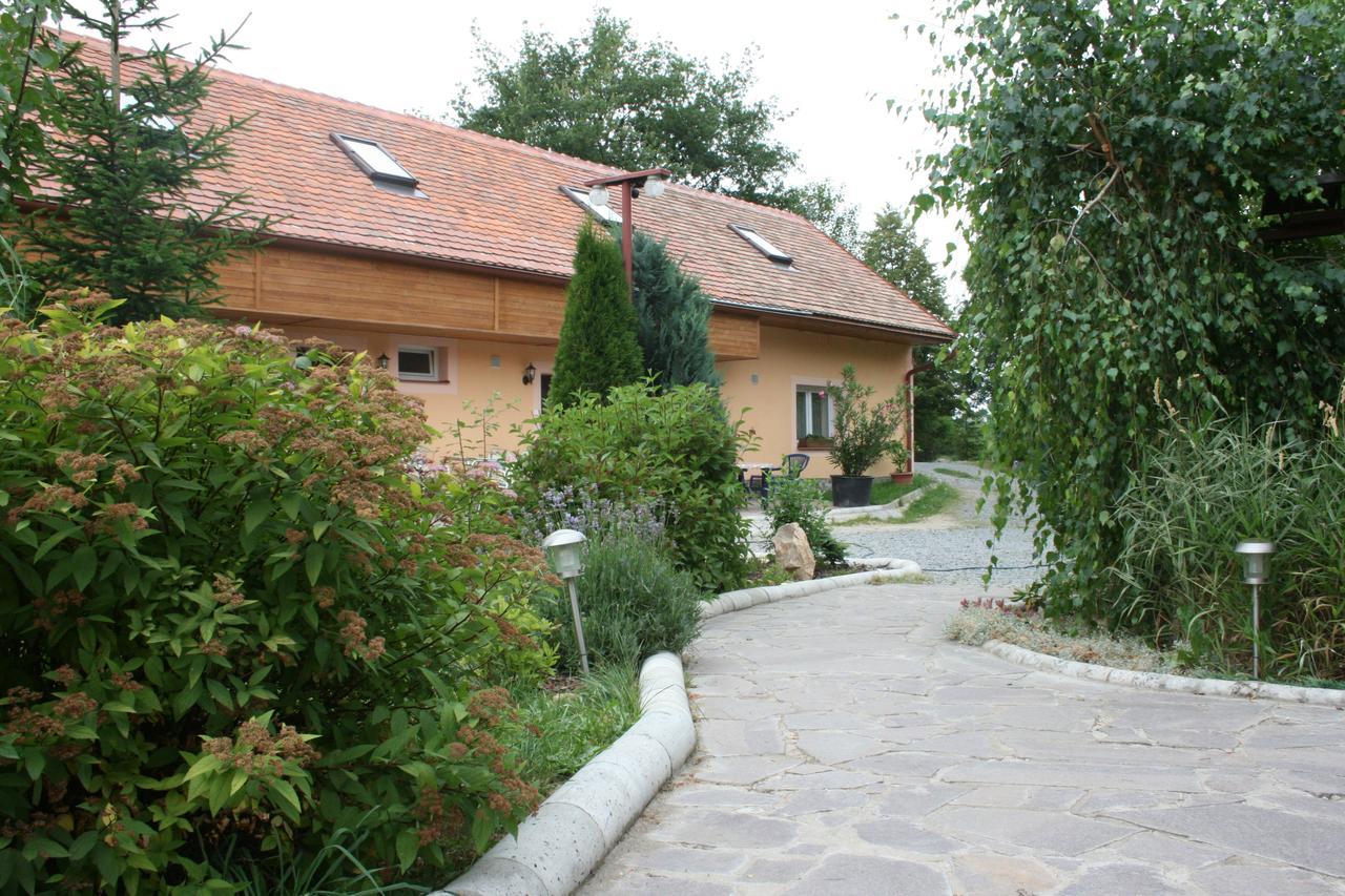 Penzion Hugo Sedlec-Prcice Exterior foto